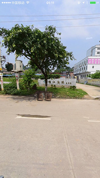 桂江生态鱼体验馆(龙山路店)的图片