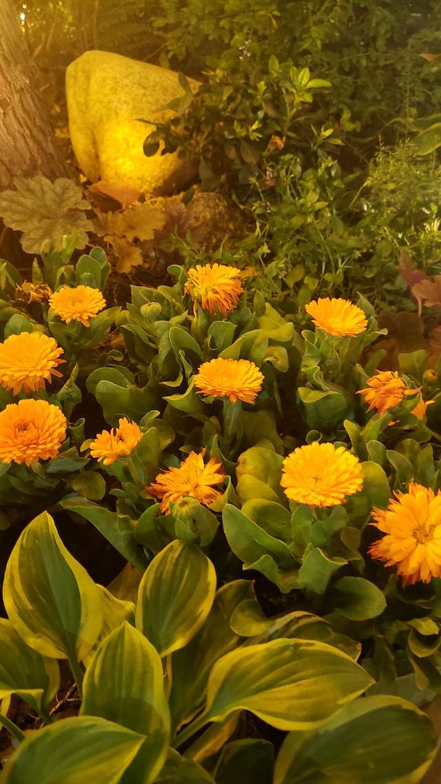 花园道艺术商业街