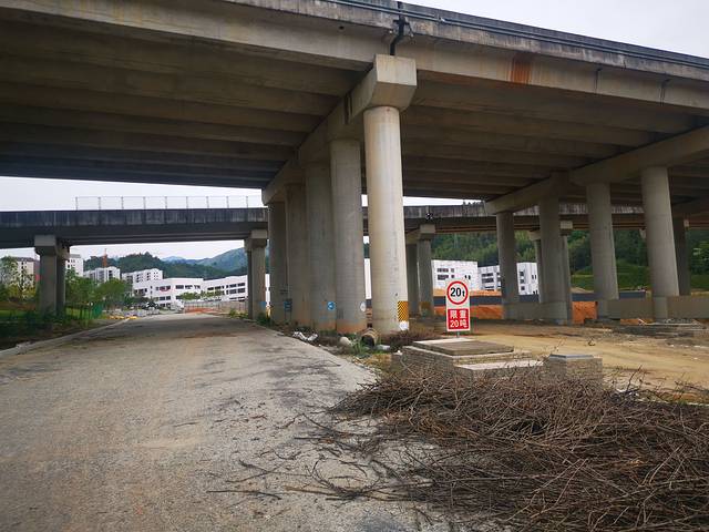 浙江省龙渊森林公园