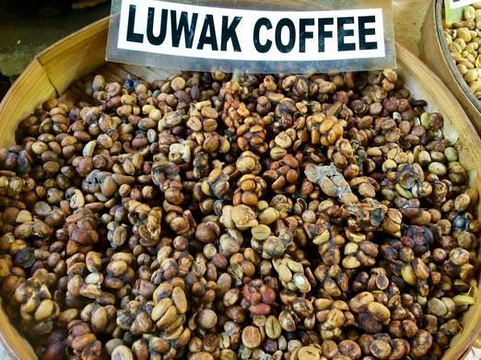 Cafe Luwak at Luwak Ubud Villas旅游景点图片