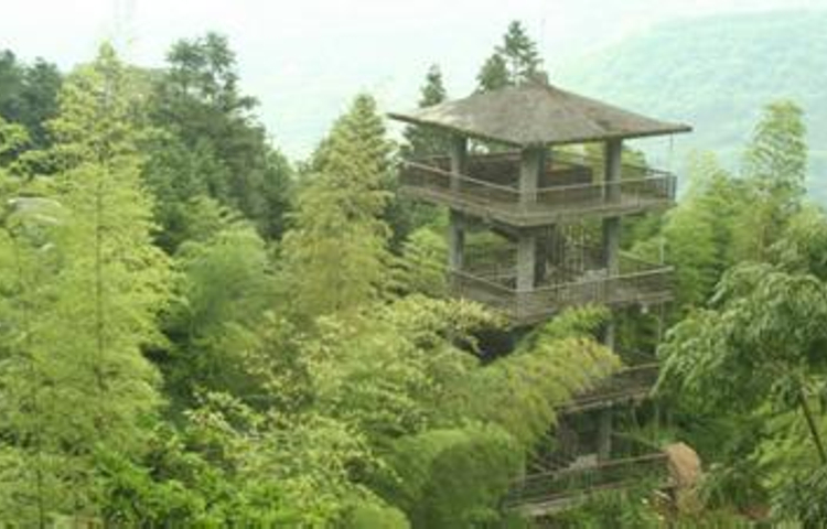 国立自然科学博物馆凤凰谷鸟园生态园区