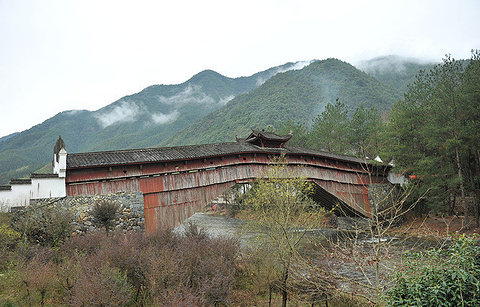 庆元古桥的图片