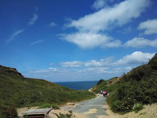 Seaview Wildlife Encounter