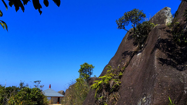 贡鸭山生态森林园旅游景点图片