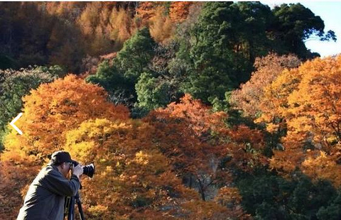 光雾山旅游景区旅游景点攻略图