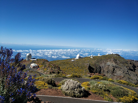 Instituto de Astrofisica de Canarias旅游景点图片