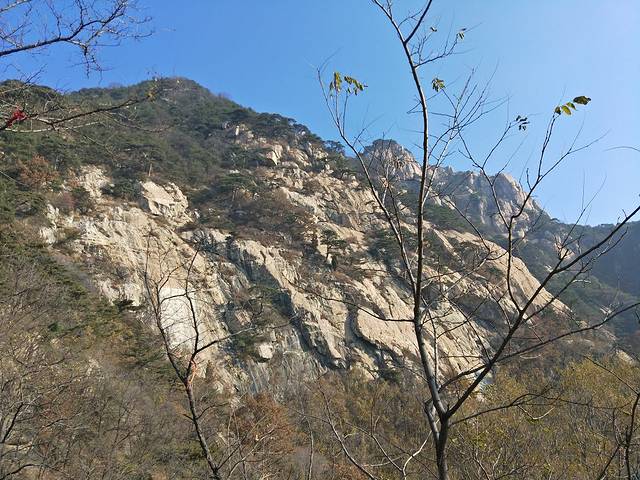 泰山风景名胜区-对松山