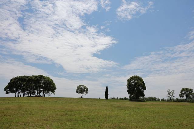 西湖城市湿地公园