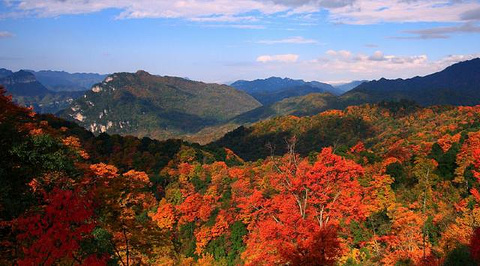 光雾山旅游景区旅游景点攻略图