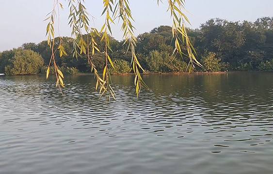 夕照山鸟类自然保护区