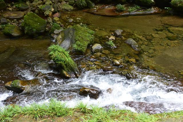 袁家界景区-跳鱼潭