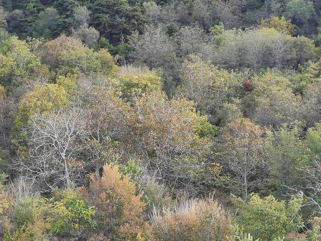 卢医山公园