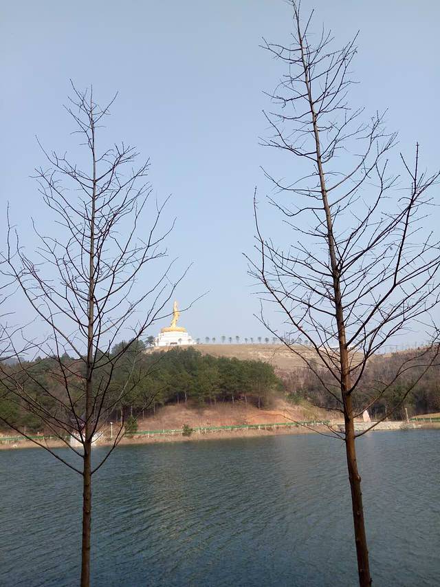 华莱士·全鸡汉堡(百秀街店)