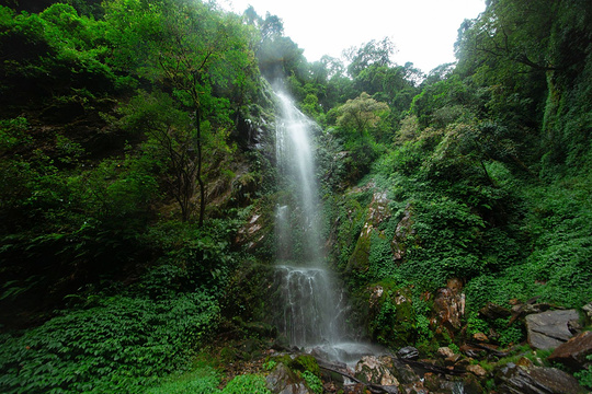 高黎贡山自然公园旅游景点图片