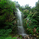 高黎贡山自然公园