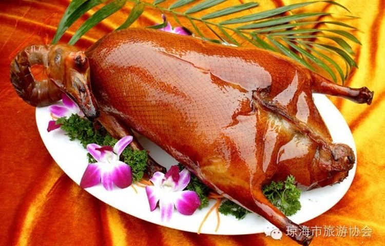 温泉海星田园鹅莊