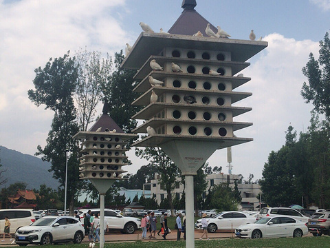 鹤湖禅寺旅游景点图片