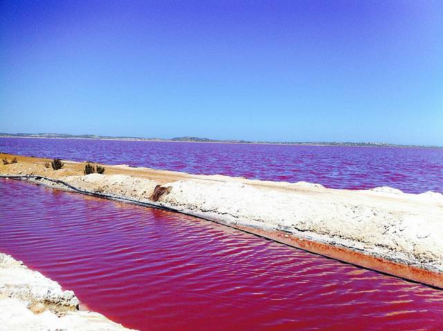 粉色湖泊