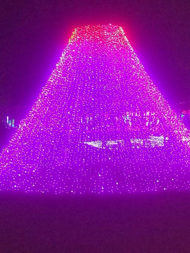 林拥城药都林海景区