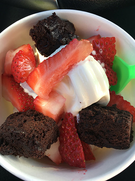 Bahama Mama's Frozen Yogurt