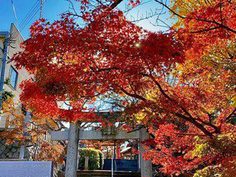 21红叶八幡宫 旅游攻略 门票 地址 问答 游记点评 福冈旅游旅游景点推荐 去哪儿攻略