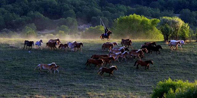 国营御道口牧场