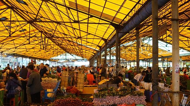 岭南花卉市场旅游景点图片