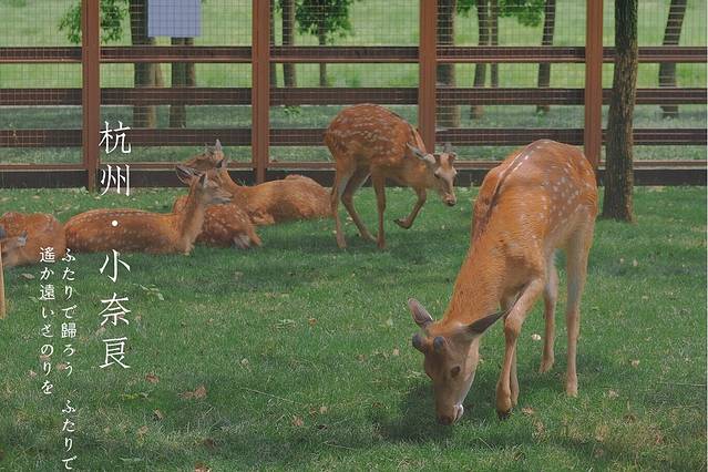 良渚文化艺术中心（大屋顶）