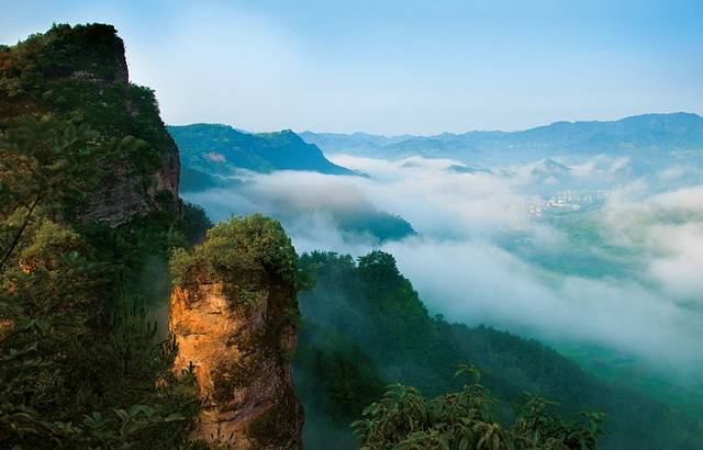 硅化木地质遗迹景区