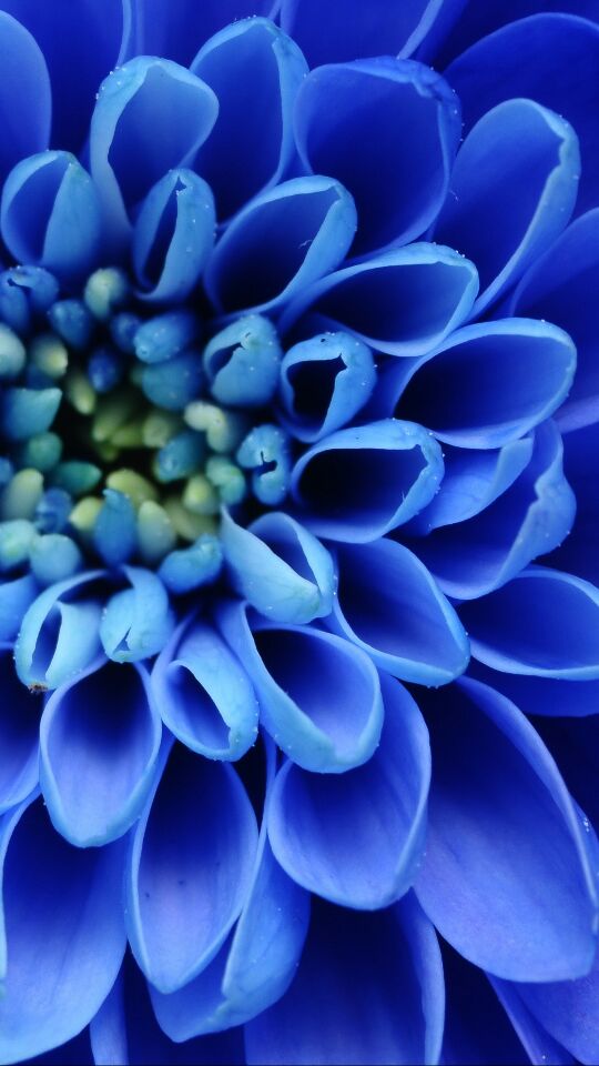 怀仁市金沙滩生态旅游区崇国寺