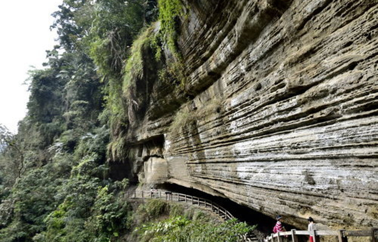 青年岭环状步道