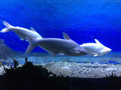 宁波海洋世界