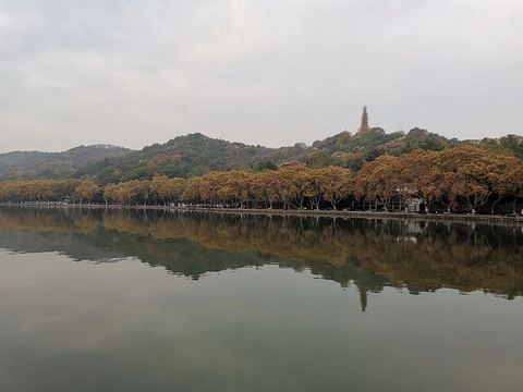 青年公园旅游景点图片