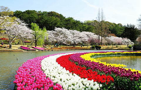 滨松花卉公园