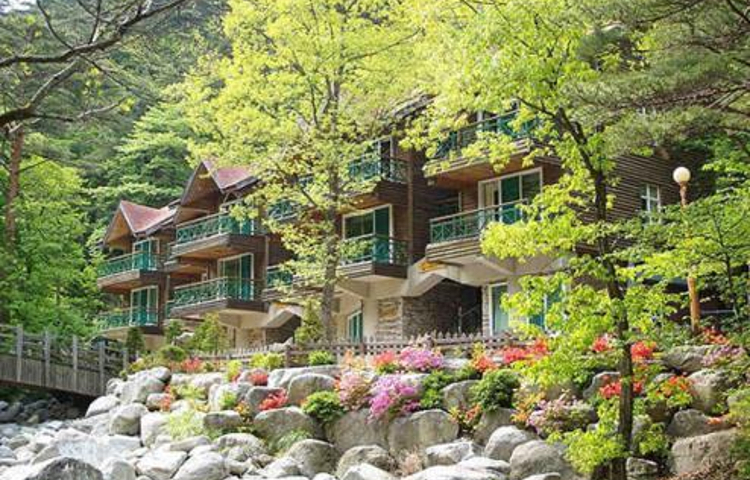 大关岭自然休养林