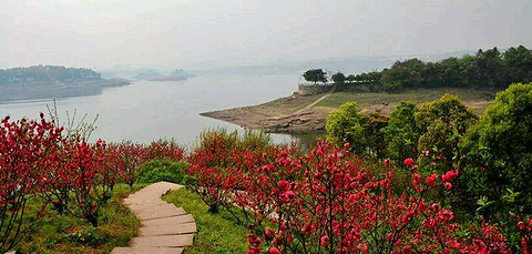 长寿湖旅游景点攻略图