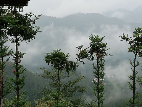 八曲净舍旅游景点图片