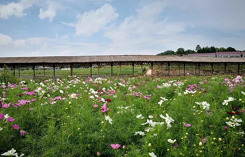 松雅湖湿地公园