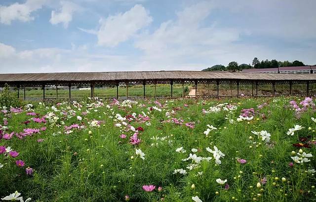 湖南松雅湖国家湿地公园