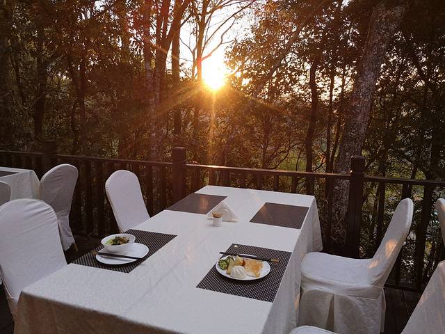 小熊猫庄园·西餐厅