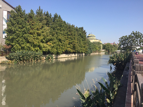 中新泾公园旅游景点图片