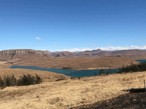 Sterkfontein Dam Nature Reserve旅游景点图片