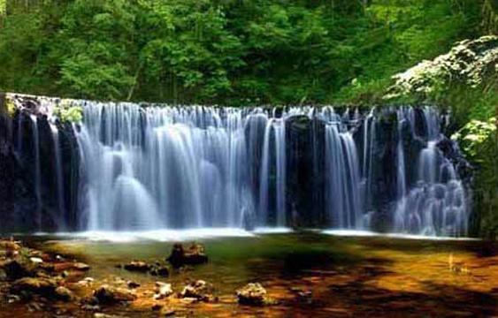 国家吊水壶森林公园旅游景点图片