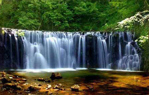国家吊水壶森林公园的图片