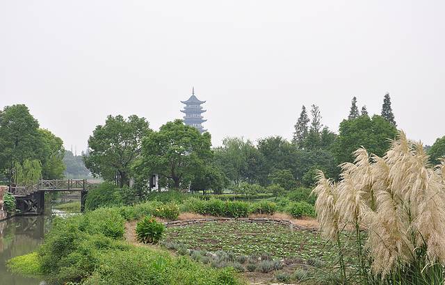 乌镇西栅景区-北湿地