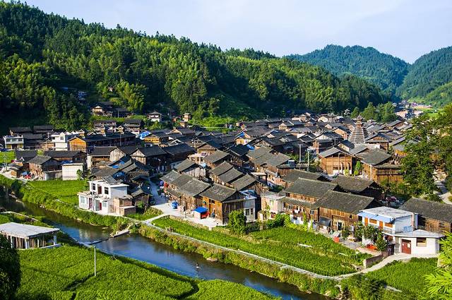 黔东南苗族侗族自治州国营林场花卉基地