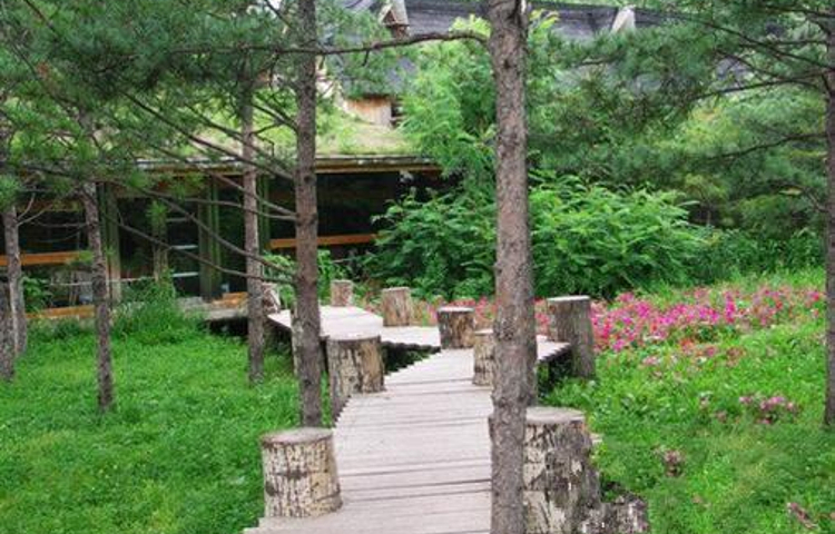 大鹅岛绿色生态美食园