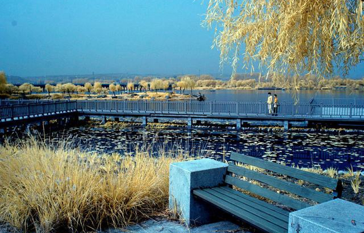 河南伊川伊河国家湿地公园