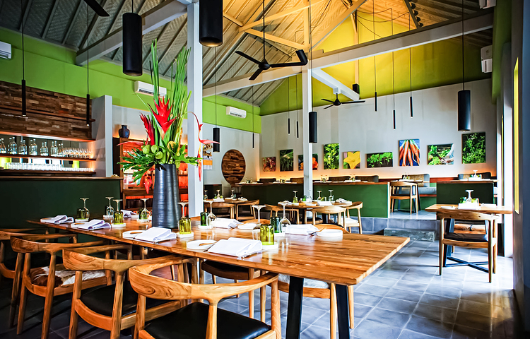 Herbivore by Locavore Group