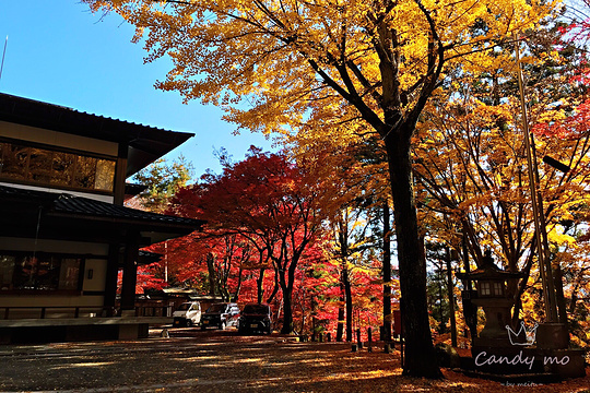日枝神社旅游景点图片